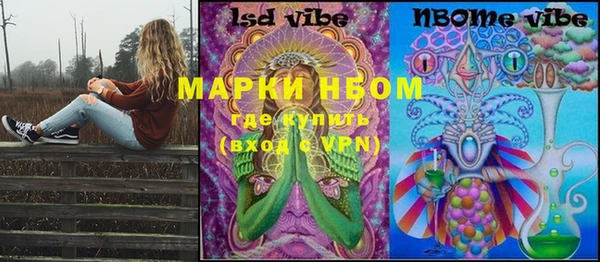 мдпв Арсеньев
