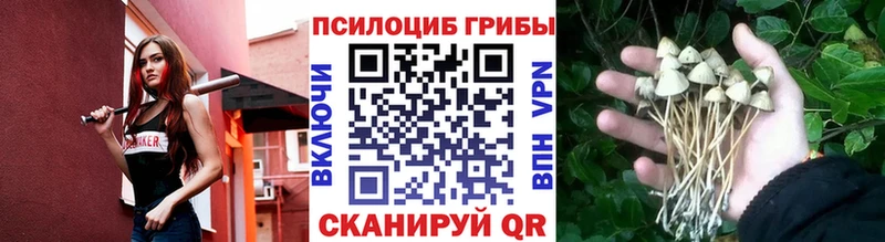 Галлюциногенные грибы Magic Shrooms  маркетплейс как зайти  Озёры 